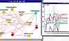 A fragment of M-network