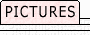 Pictures. Supplements. Bibliography