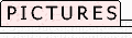 Pictures. Supplements. Bibliography